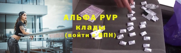 твердый Дмитров