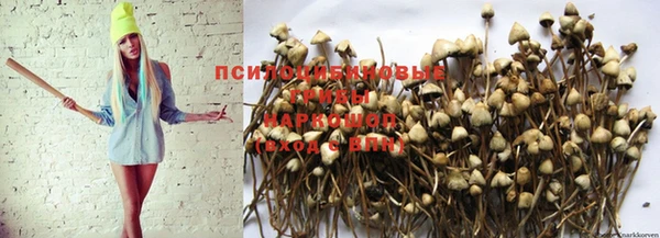 гашишное масло Алексин