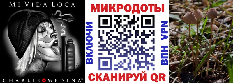 Псилоцибиновые грибы мухоморы Ессентукская
