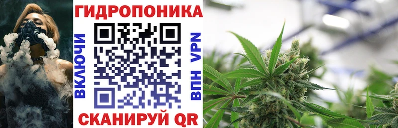 МАРИХУАНА планчик  KRAKEN ССЫЛКА  Ессентукская 
